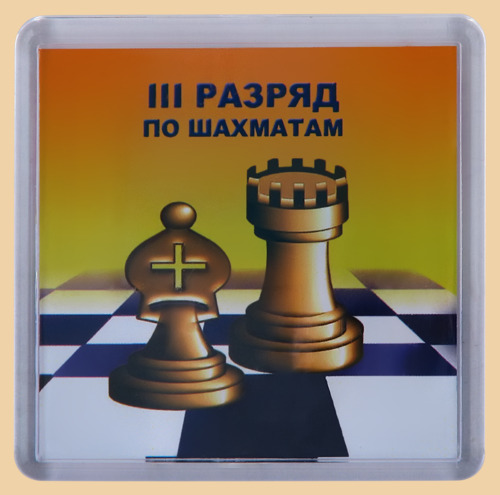 Магнит шахматный III Разряд (квадратный)