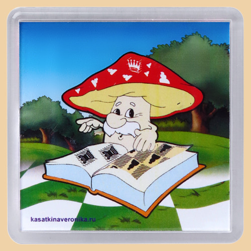 Магнит шахматный Книга (квадратный)