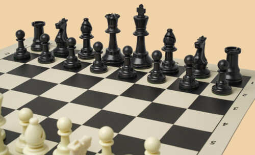 Шахматы Бакалавриат (утяжелённые)