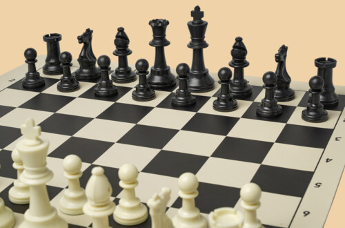 Шахматы Мыслитель