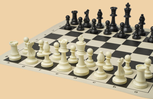 Шахматы Мыслитель