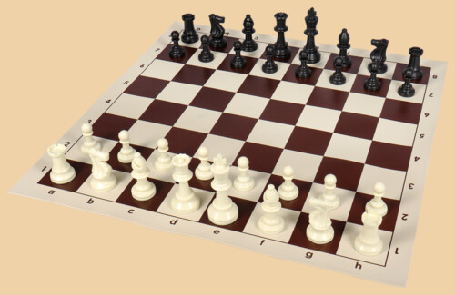 Шахматы Экзамен