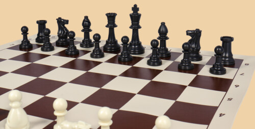 Шахматы Экзамен