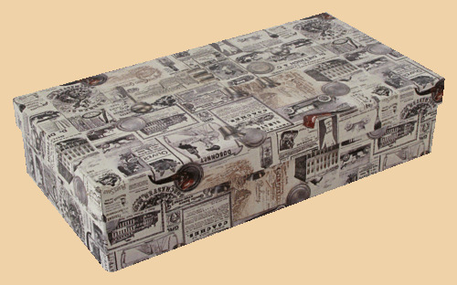 Коробка Светлая (40 на 75 на 8 см)