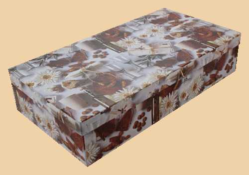 Коробка Светлая (40 на 75 на 8 см)