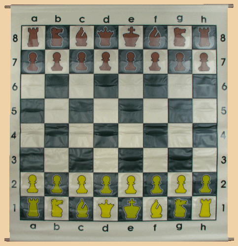 Шахматы демонстрационные с кармашками В тубусе (90 на 90 см)